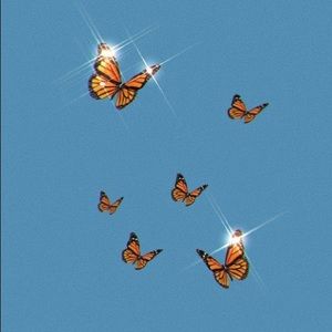 Meet your Posher, Abigail